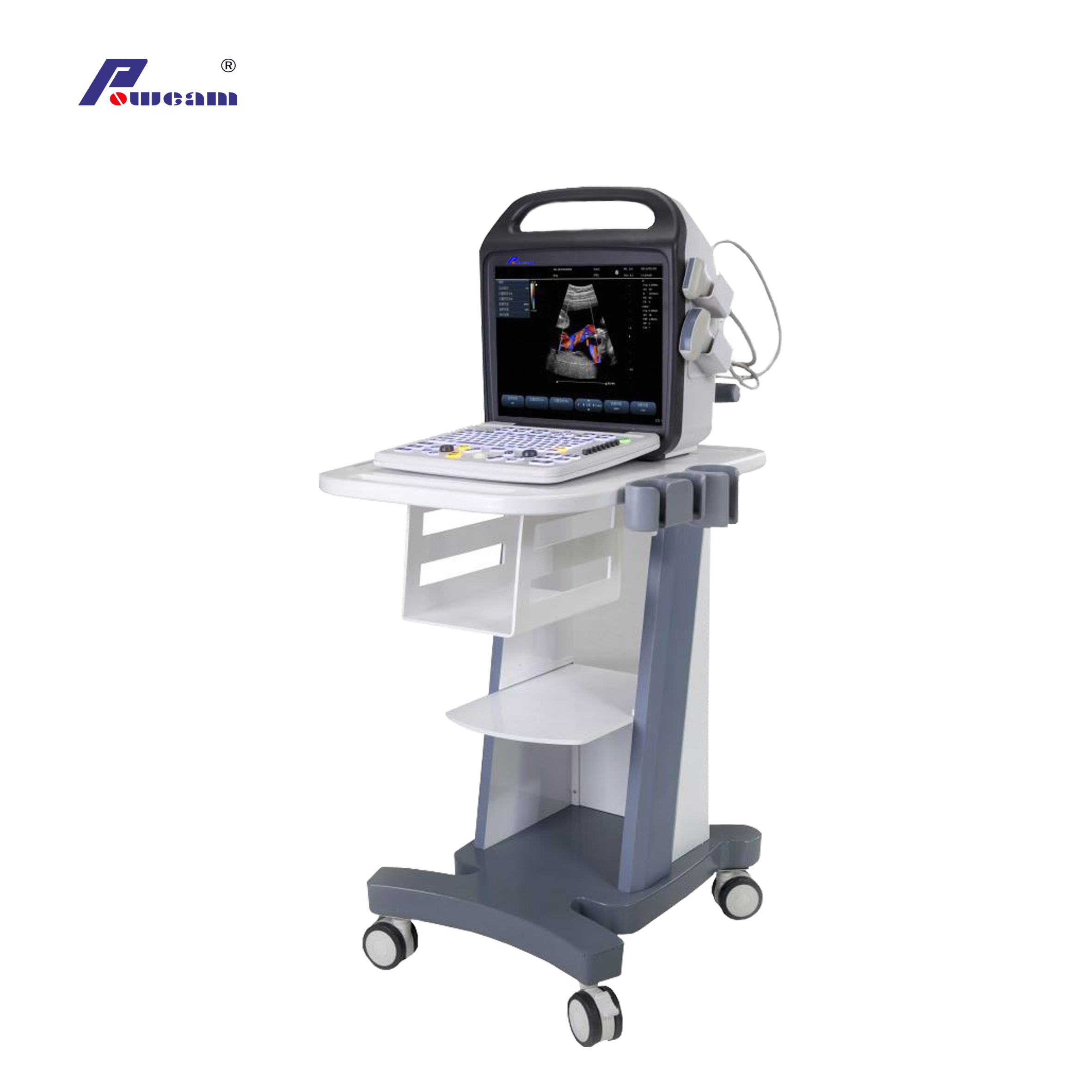 CE-genehmigter Krankenhaus 4D-tragbarer Farbdoppler-Ultraschall (C10)